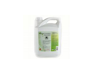 Ldzeklis virsmu tranai 5000ml